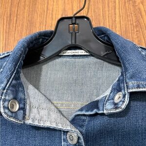 Alexa Chung Denim Long Sleeve Dress